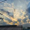 aylertrinh273