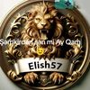 elish5700