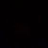 elff_4721