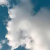 _10_11_08