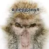 user230141655