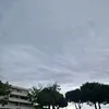 celinealbert13