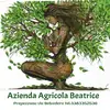 aziendaagricolabeatrice