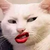 cuixuan29