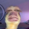 johnleebog