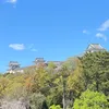 nanashi_namaenashi