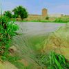 abo_hamed775