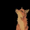 rapososolitarioo