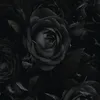 sabrina.knv