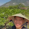 vanhieu0912
