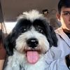 elhellothereeee