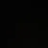 samy_231_
