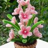 rossyflowers77