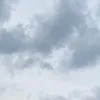 auroraaa812