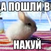 myyni_