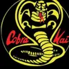 cobra.kai671