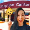 jinisproadoptioncenter