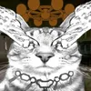 _sparx11612_