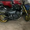 alcenirvieira6