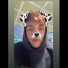 stuart_lvss7