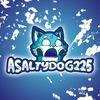 asaltydog225