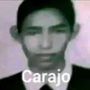 gatp10