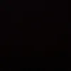 _.silva_7
