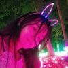 theresa.hnin.lay