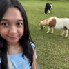 ailwhea