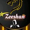 zeeshankhanshani42