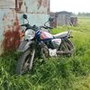 solo_goldfisn0916