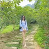 _dao2212
