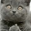 user5901130494283