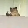 iamfrog57