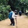 wajee_wjp