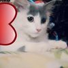 sonahassan49