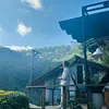 adongdecor95
