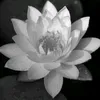 user8je1jx6855