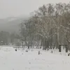 andreeeyofficial