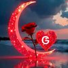 gul_52_
