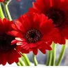 redlovelyflower