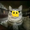 casari_marco