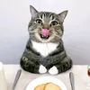 artemfazber