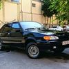taleh_509