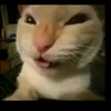 kaafun_