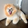 luckylouie5