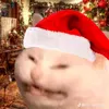 jonahlignumbravo
