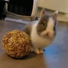 oreo.mlt