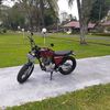 pandu_caesario