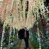 hoang_nam_ls
